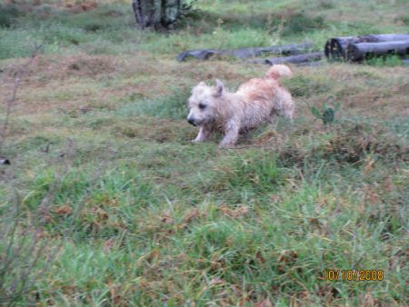 Astri in full flight heading home from morning run