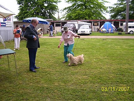 Astri on show at The New England K C  Celtic Show