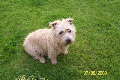 Brackens Mum