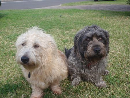 Bronte & Fergal 