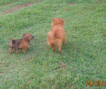 Scarlett chases mum