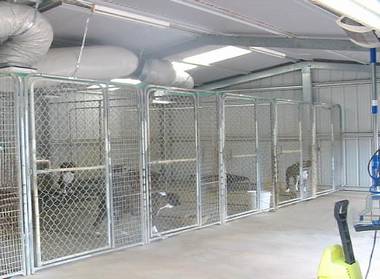 Kennel Complex