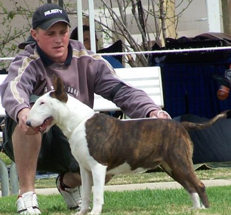 Beau with Fiona