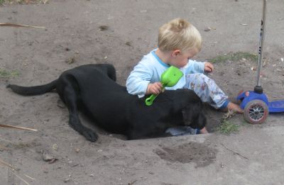 Coco and Charlie gardening/mining? March 2009