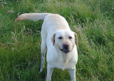 Tamba grinning