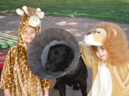 Jett & his safari pals