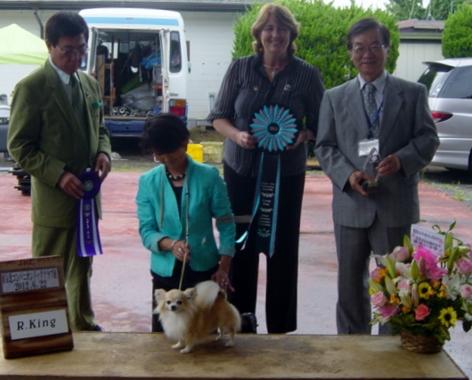 Japan 2014 - My Toy King Group Winner - Long Coated Chihuahua