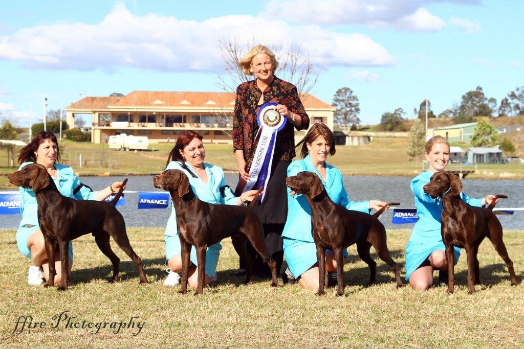 GSP National Specialty Australia 2010 - Breeders Group