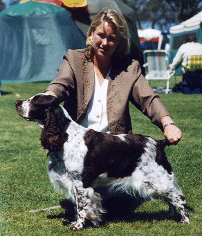 Gr Ch Reibey Ashley Manor