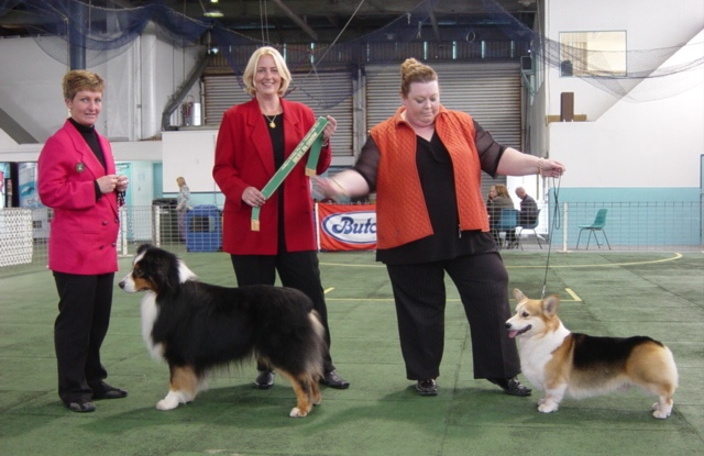 Wellington Working Dog Club, New Zealand, 2008