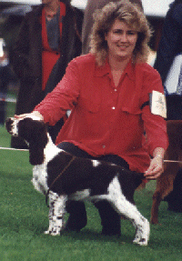 Gr Ch Fairksy King on Hull at 3 months