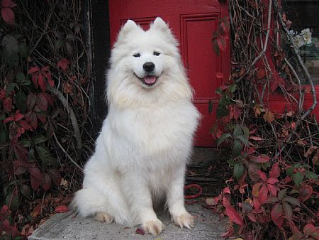 Maya and the red door