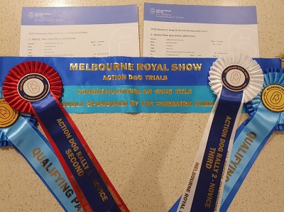 Evie's haul of ribbons and certificates