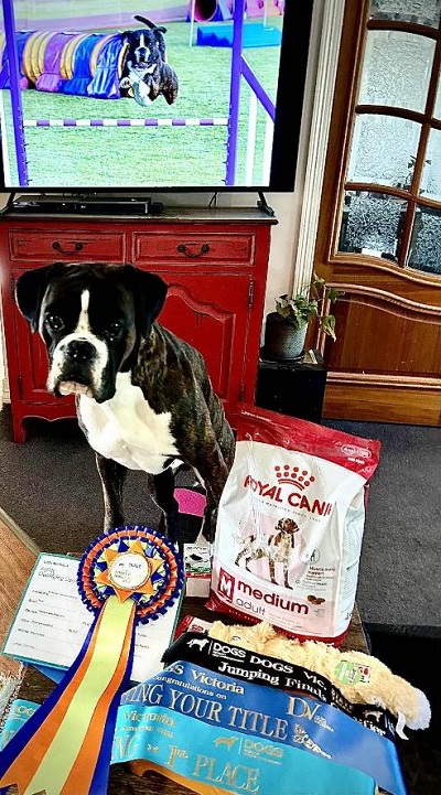 Louis with his rewards