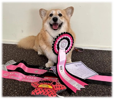 Taco with his awards