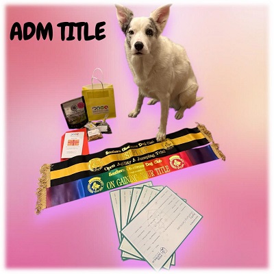 Arctic  with her awards