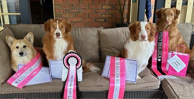 Taco, Levi, Pico, and Miley