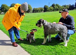 Mia and Freddy meet for the first time