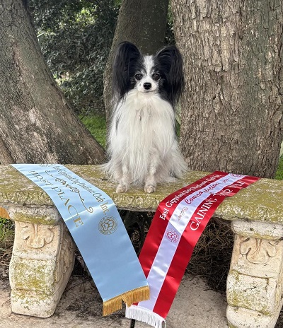 Lacey with ribbons
