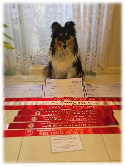 Lacey with awards