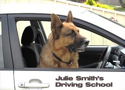 Julie Smith Driving School
