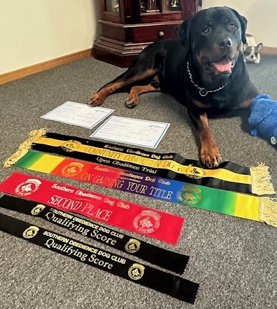 Ajay with his certificates and ribbons