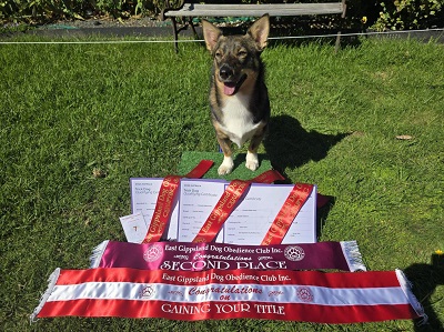 Bobby 2sox with ribbons and dcertificates