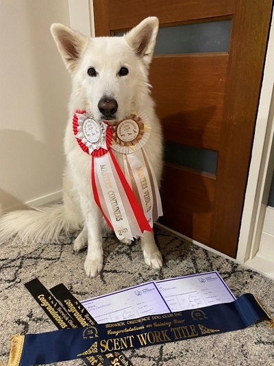 Zeke with some of his many awards