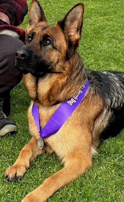 Elsie