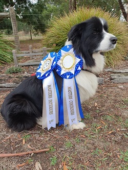 Snoop with ribbons