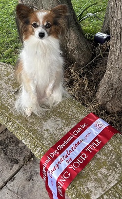 Willow with her title ribbon