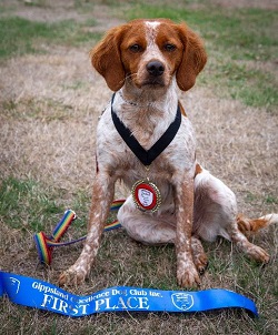 Nina with awards