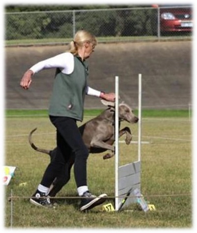 Rikki jumping hurdle