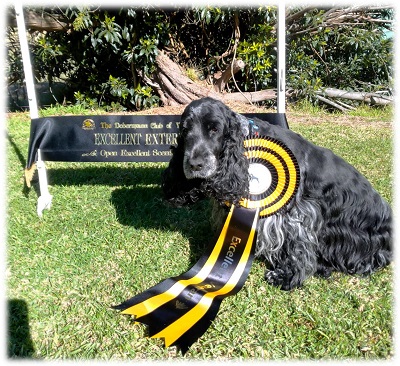 Poppy with awards