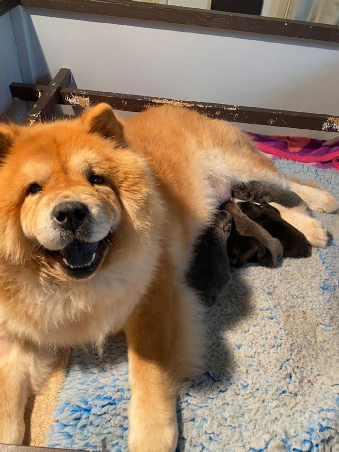 Molly and Babies